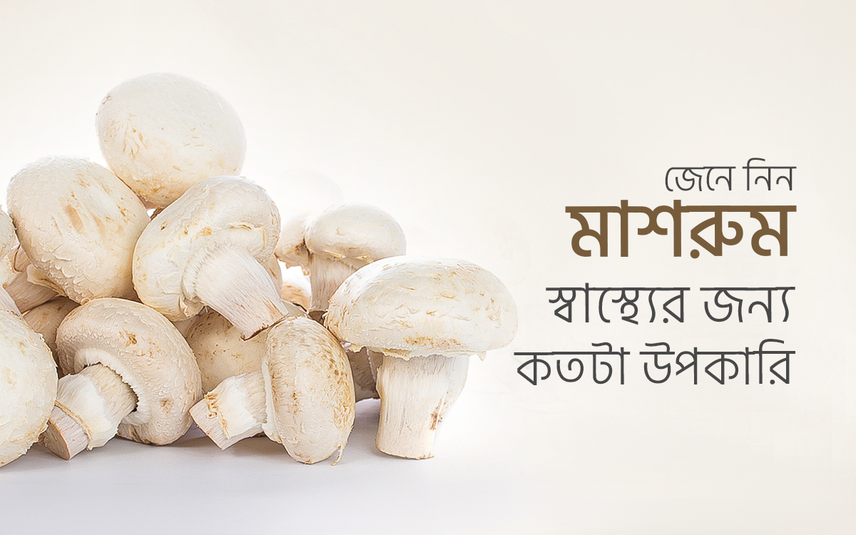 mashroom মাশরুম স্সাস্থ্যের জন্য কতটা উপকারি