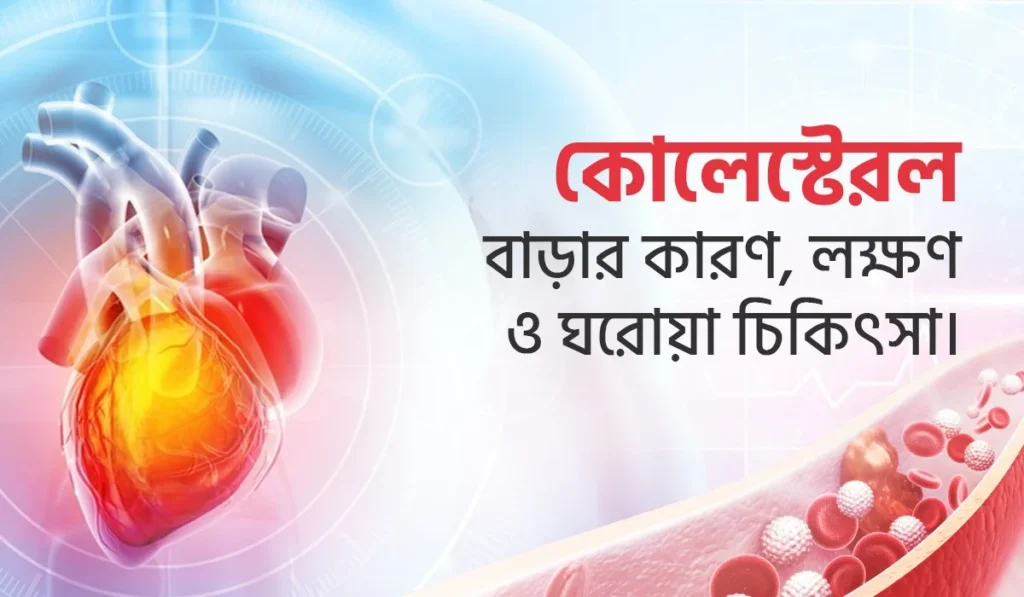 কোলেস্টেরল বাড়ার কারণ, লক্ষণ ও ঘরোয়া চিকিৎসা