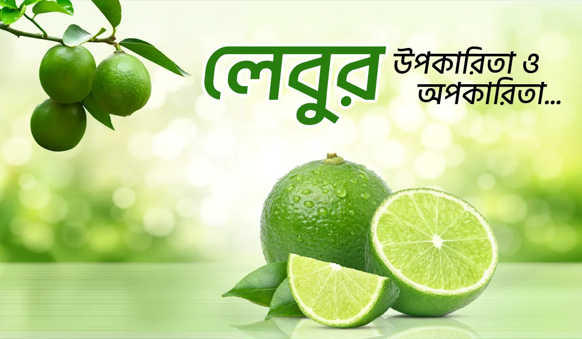 লেবুর উপকারিতা: আশ্চর্যজনক স্বাস্থ্য ও ত্বকের গুণ