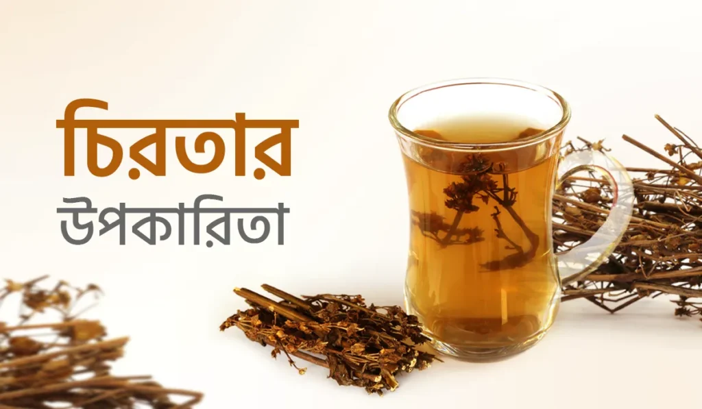 চিরতার উপকারিতা: প্রাকৃতিক স্বাস্থ্য রক্ষায় অনন্য উপাদান