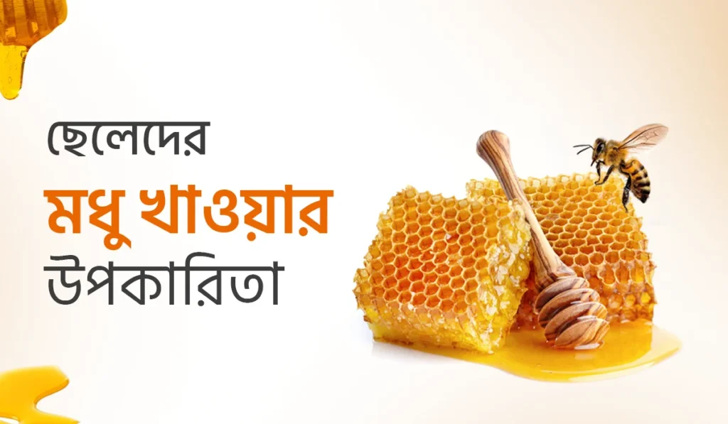 ছেলেদের মধু খাওয়ার উপকারিতা – প্রাকৃতিক ভাবে সুস্থ্য থাকার চাবিকাঠি