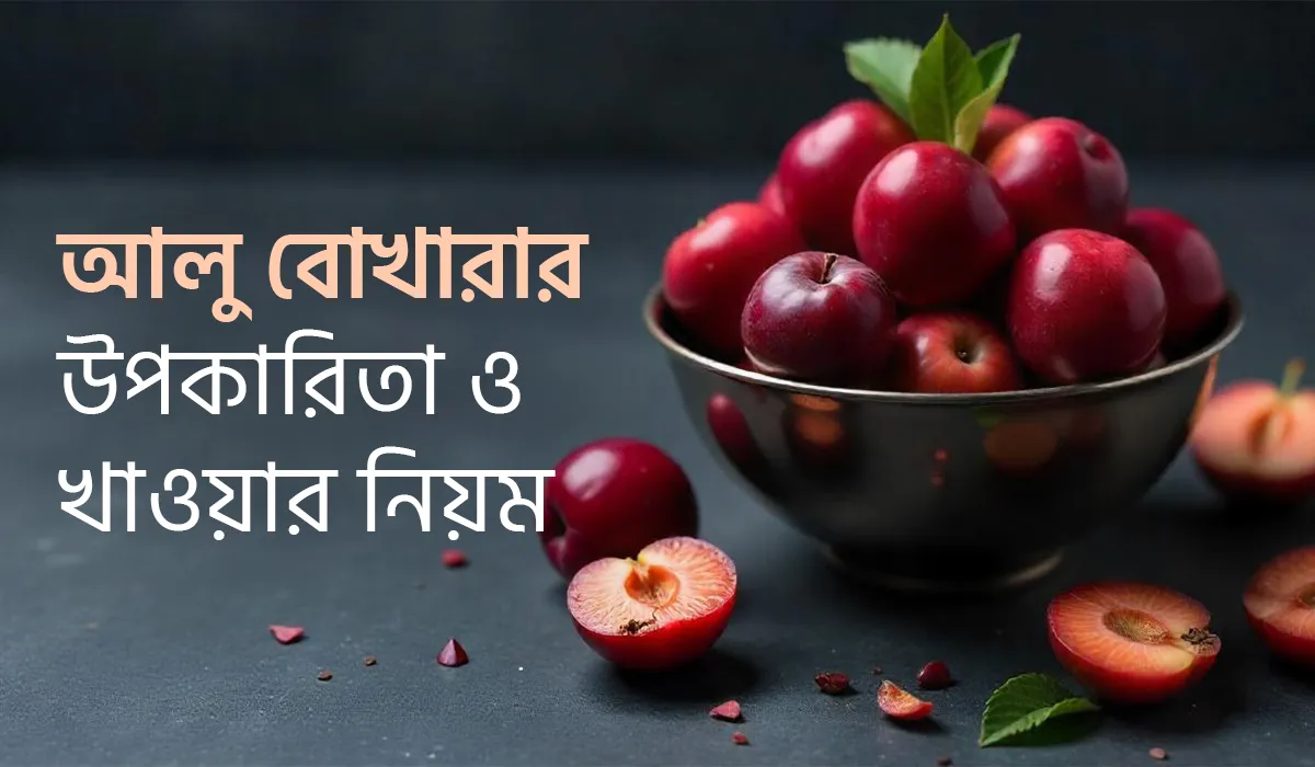 আলু বোখারা, এই ছোট্ট মিষ্টি-টক ফলটি আমাদের দৈনন্দিন জীবনকে স্বাস্থ্যকর ও সুস্বাদু করে তোলবে। পুষ্টিতে ভরপুর এই ফলটি শুধু একবার খেলে নয়, এটি দিয়ে তৈরি করা যায় অসংখ্য স্বাস্থ্যকর ও মজাদার রেসিপি। চলুন জেনে নিই আলু বোখারার উপকারিতা, খাওয়ার সঠিক নিয়ম এবং এটি দিয়ে কী কী তৈরি করা যায়। আলু বোখারার পুষ্টিগুণ আলু বোখারা আমাদের শরীরের জন্য প্রয়োজনীয় অনেক গুরুত্বপূর্ণ পুষ্টি উপাদানে সমৃদ্ধ। এতে রয়েছে: ভিটামিন সি: রোগ প্রতিরোধ ক্ষমতা বাড়াবে। ভিটামিন কে: রক্ত জমাট বাঁধার সমস্যা রোধ করবে। পটাসিয়াম: রক্তচাপ নিয়ন্ত্রণ করবে। ফাইবার: হজমশক্তি বাড়াবে। অ্যান্টিঅক্সিডেন্ট: দেহের কোষগুলোকে ক্ষতি থেকে রক্ষা করবে এবং বার্ধক্যে প্রতিরোধ করবে। আলু বোখারার উপকারিতা ১. হজম শক্তি বৃদ্ধি করে আলু বোখারা প্রাকৃতিক ফাইবার সমৃদ্ধ হওয়ায় এটি হজম শক্তি বৃদ্ধি করে। এটি কোষ্ঠকাঠিন্য দূর করবে এবং অন্ত্রের কার্যকারিতা বাড়াবে। ২. রোগ প্রতিরোধ ক্ষমতা বাড়ায় ভিটামিন সি এবং অ্যান্টিঅক্সিডেন্ট সমৃদ্ধ আলু বোখারা শরীরের রোগ প্রতিরোধ ক্ষমতা বৃদ্ধি করবে। এটি ফ্লু ও সাধারণ সর্দি-কাশি প্রতিরোধ করবে। ৩. হাড়ের স্বাস্থ্য রক্ষা আলু বোখারায় থাকা ভিটামিন কে এবং ক্যালসিয়াম হাড়কে শক্তিশালী করবে। এটি অস্টিওপোরোসিসের প্রতিরোধ করবে। ৪. রক্তচাপ নিয়ন্ত্রণে রাখবে পটাসিয়ামের পরিমাণ বেশি থাকায় এটি উচ্চ রক্তচাপের সমস্যা নিয়ন্ত্রণে সাহায্য করবে। ৫. হার্টের স্বাস্থ্য ভালো রাখা আলু বোখারা কোলেস্টেরল কমাবে, যা হার্ট অ্যাটাক ও স্ট্রোকের ঝুঁকি কমাবে। ৬. ত্বকের যত্নে উপকারী এতে থাকা অ্যান্টিঅক্সিডেন্ট এবং ভিটামিন সি ত্বকের উজ্জ্বলতা বাড়াবে এবং বার্ধক্যের লক্ষণ কমাবে। ৭. ওজন নিয়ন্ত্রণ ফাইবারের পরিমাণ বেশি হওয়ায় এটি ক্ষুধা কমাবে এবং ওজন নিয়ন্ত্রণ করবে। আলু বোখারা খাওয়ার নিয়ম আলু বোখারা খাওয়ার সঠিক নিয়ম মেনে চললে এর পরিপূর্ণ উপকারিতা উপভোগ করা যাবে। এখানে কিছু পরামর্শ দেওয়া হলো: ১. সকালে খালি পেটে খান এক গ্লাস হালকা গরম পানিতে ৩-৪টি ভিজিয়ে খেয়ে নিন। এটি হজমশক্তি বাড়াবে এবং শরীর ডিটক্সিফাই করবে। ২. স্ন্যাকস হিসেবে খান দিনের মধ্যে হালকা ক্ষুধা লাগলে শুকনো আলু বোখারা খান। এটি দীর্ঘক্ষণ এনার্জি ধরে রাখবে। ৩. মিষ্টি পানীয় তৈরি করে খান আলু বোখারার শরবত বা স্মুদি বানিয়ে পান করুন এটি শরীরকে ঠান্ডা রাখবে এবং পুষ্টি জোগাবে। ৪. রান্নায় ব্যবহার করুন পোলাও বা বিরিয়ানিতে আলু বোখারা একটি সুস্বাদু উপাদান হিসেবে ব্যবহার করুন। ৫. খাওয়ার পরিমাণে নিয়ন্ত্রণ অতিরিক্ত না খেয়ে প্রতিদিন ৫-৬টি আলু বোখারা খাওয়া যথেষ্ট। অতিরিক্ত খেলে গ্যাস্ট্রিকের সমস্যা হবে। আলু বোখারা দিয়ে তৈরি রেসিপি আলু বোখারা শুধু কাঁচা বা শুকনো খাওয়াই নয়, বরং এটি দিয়ে নানা রকম সুস্বাদু পদ তৈরি করা যাবে। এখানে কিছু জনপ্রিয় রেসিপি দেওয়া হলো: ১. আলু বোখারার শরবত একটি জনপ্রিয় ও স্বাস্থ্যকর পানীয়। এটি তৈরি করতে যা যা লাগবে: ৪-৫টি শুকনো আলু বোখারা ১ চা চামচ চিনি বা মধু ১ গ্লাস ঠান্ডা পানি সামান্য লেবুর রস পদ্ধতি: শুকনো আলু বোখারা কিছুক্ষণ ভিজিয়ে রেখে এরপর ব্লেন্ড করে ঠান্ডা পানিতে মিশিয়ে নিন। চিনি বা মধু ও লেবুর রস দিয়ে পরিবেশন করুন। ২. আলু বোখারার চাটনি মিষ্টি ও টক স্বাদের জন্য এটি দারুণ উপকার করবে। উপকরণ: ১০টি শুকনো আলু বোখারা চিনি লবণ ভিনেগার সামান্য গোলমরিচ পদ্ধতি: সব উপকরণ একসঙ্গে সেদ্ধ করে ঘন হয়ে এলে ঠান্ডা করুন। চাটনি রুটি, পরোটা বা ভাতের সঙ্গে পরিবেশন করুন। ৩. আলু বোখারার কেক বা ডেজার্ট শুকনো আলু বোখারা ছোট টুকরো করে কেকের ব্যাটারে মিশিয়ে বেক করুন। এটি দারুণ একটি স্বাস্থ্যকর ডেজার্ট হবে। ৪. পোলাও বা বিরিয়ানিতে ব্যবহার আলু বোখারা পোলাও বা বিরিয়ানিতে মিষ্টি স্বাদ বৃদ্ধি করবে। এটি শুধু স্বাদই বাড়ায় না, বরং খাবারকে পুষ্টিকরও করে তোলবে। আলু বোখারা কেন আপনার খাদ্যতালিকায় থাকবে? আলু বোখারা একটি প্রাকৃতিক সুপারফুড, যা বিভিন্ন রোগ প্রতিরোধ করবে এবং শরীরকে সুস্থ্য রাখবে। এটি সাশ্রয়ী, সহজলভ্য এবং অসাধারণ পুষ্টিগুণে সমৃদ্ধ। আপনি যদি স্বাস্থ্য সচেতন হন এবং একটি সুস্বাদু ও পুষ্টিকর খাদ্য সন্ধান করেন, তবে আলু বোখারা আপনার জন্য সেরা পছন্দ হবে। উপসংহার আলু বোখারা একটি ছোট ফল হলেও এর স্বাস্থ্য উপকারিতা এবং বহুমুখী ব্যবহার অনেক বেশি। এটি আপনার দেহকে ভেতর থেকে পুষ্টি জোগাবে এবং সুস্থ্য রাখবে। এর সহজ রেসিপিগুলো আপনার খাদ্যতালিকায় নতুন স্বাদ যোগ করবে। তাই, আজই আপনার দৈনন্দিন খাবারে আলু বোখারার ব্যবহার করুন এবং এর অসাধারণ গুণাগুণ উপভোগ করুন।