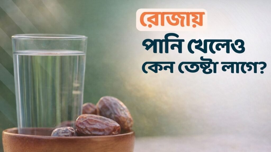 রোজায় পানি খেলেও কেন তেষ্টা লাগে? এর সমাধান কী?